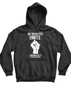 Introverts Unite Separately In Your Own Homes Hoodie