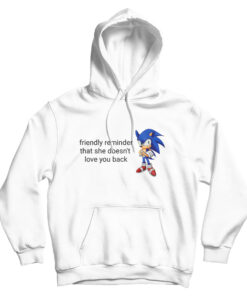 Friendly Reminder That She Doesn't Love You Back Hoodie