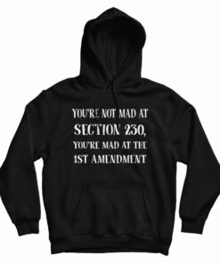 You're Not Mad At Section 230 You're Mad At The 1st Amendment Hoodie