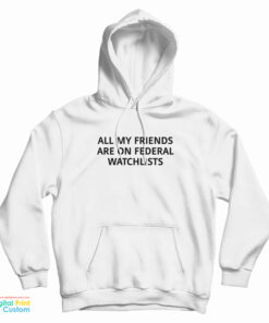 All My Friends Are On Federal Watchlists Hoodie