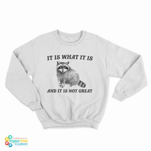 It Is What It Is And It Is Not Great Raccoon Sweatshirt